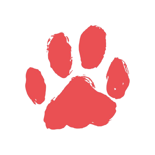Holydog Pilates Logo