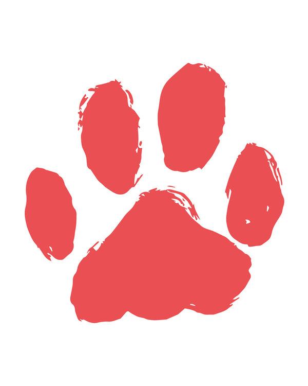 Phoenix - The Holydog