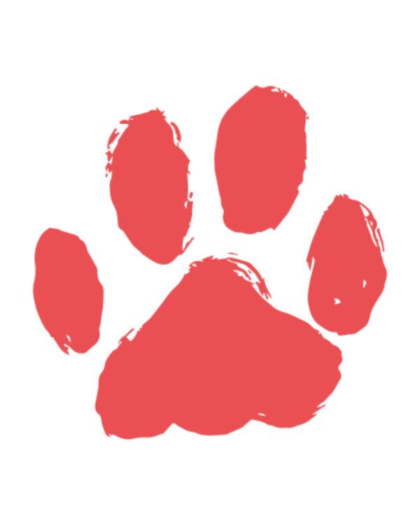 Holydog Pilates Equipment